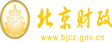 把把鸡鸡捅进逼里的视频北京市财政局