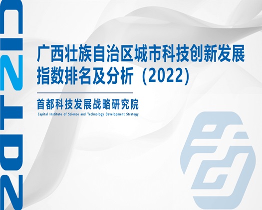 日韩锡乳房视频【成果发布】广西壮族自治区城市科技创新发展指数排名及分析（2022）